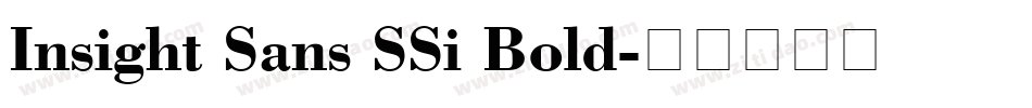 Insight Sans SSi Bold字体转换